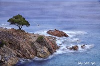 /album/fotogaleria-fotos-marinas/mg-3432cdd-640x480-jpg/